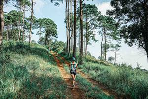 BIB: 
                            <button type="button" onclick="openModal(25677738)" class="btn btn-primary btn-sm float-right btn-popup" data-toggle="modal" data-target=".modal-high-quality">
                        <i class="fas fa-shopping-cart"></i> Add to Cart
                    </button>
                                            <button type="button" onclick="isThisMe(25677738, true)" class="btn btn-success btn-sm float-right btn-popup btn-isme hidden" data-toggle="tooltip" data-placement="bottom" title="นี่คือรูปของคุณใช่ไหม คลิกที่นี่เพื่อเอาเข้าอัลบั้ม">
                        <i class="fas fa-plus"></i> Add to album
                    </button>
                    <button type="button" onclick="isThisMe(25677738, false)" class="btn btn-warning btn-sm float-right btn-popup btn-isnotme hidden">
                        <i class="fas fa-ban"></i> Remove from album
                    </button>